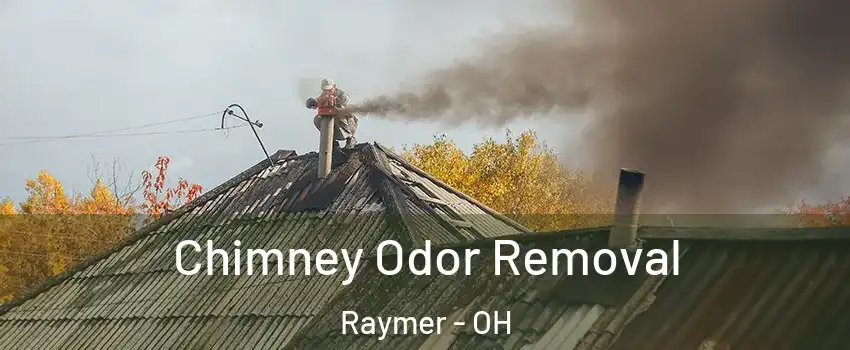 Chimney Odor Removal Raymer - OH