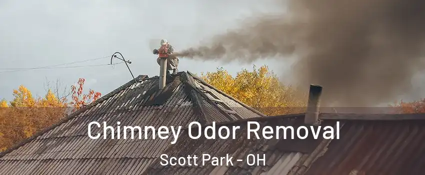Chimney Odor Removal Scott Park - OH