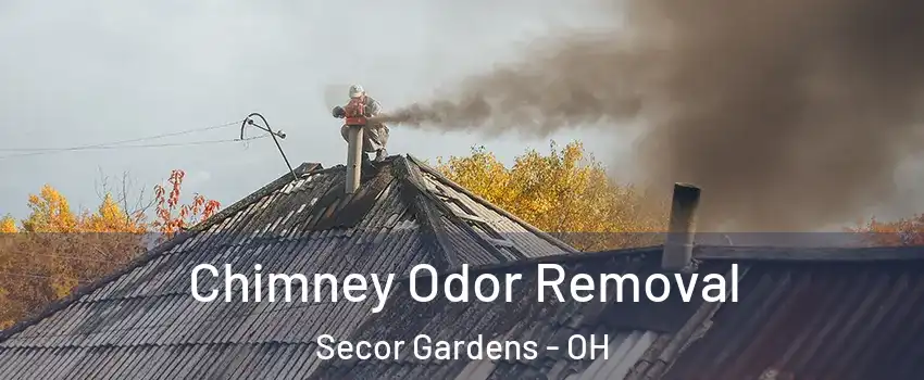 Chimney Odor Removal Secor Gardens - OH