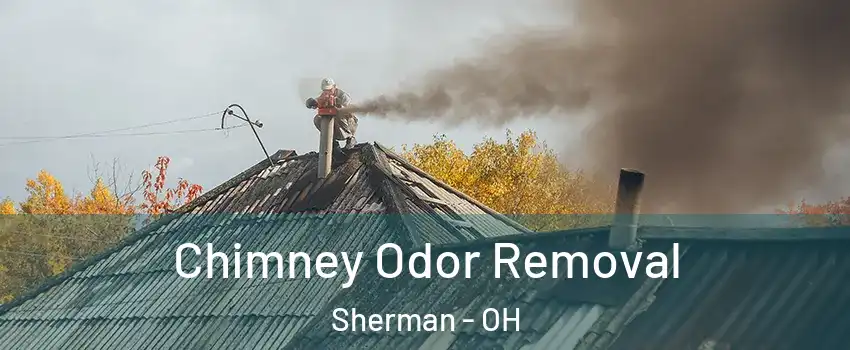 Chimney Odor Removal Sherman - OH