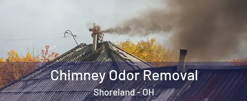 Chimney Odor Removal Shoreland - OH