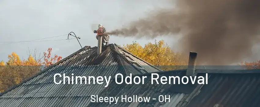 Chimney Odor Removal Sleepy Hollow - OH