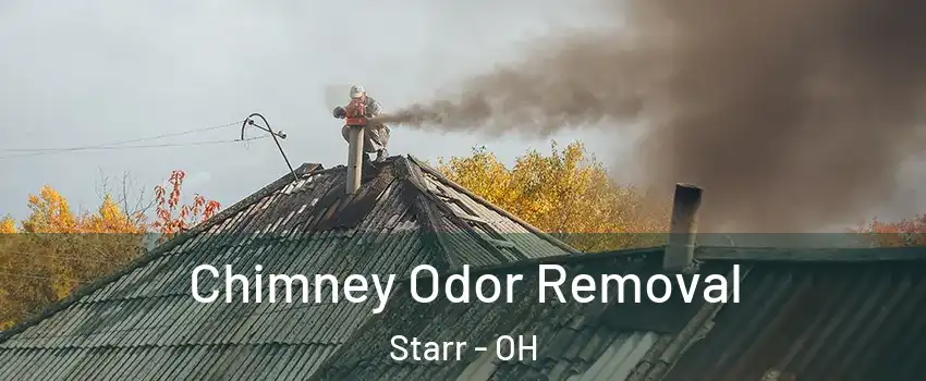 Chimney Odor Removal Starr - OH