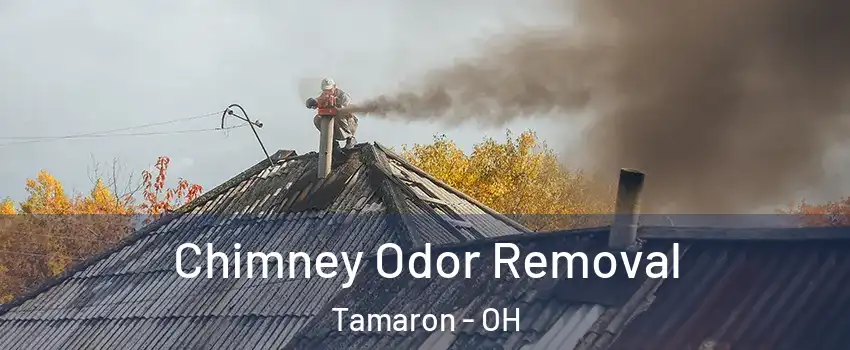 Chimney Odor Removal Tamaron - OH