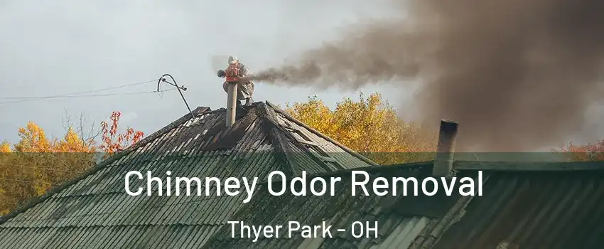 Chimney Odor Removal Thyer Park - OH