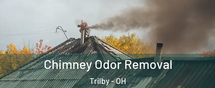 Chimney Odor Removal Trilby - OH