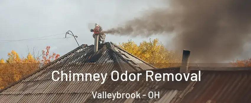 Chimney Odor Removal Valleybrook - OH