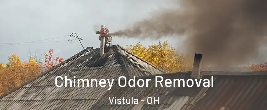 Chimney Odor Removal Vistula - OH