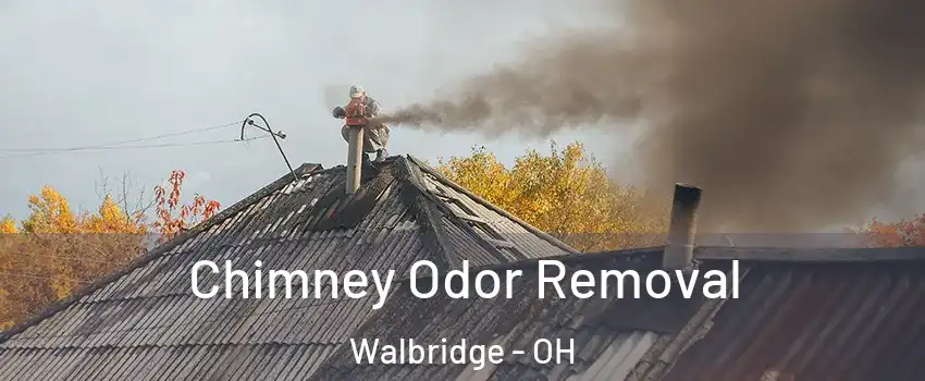 Chimney Odor Removal Walbridge - OH