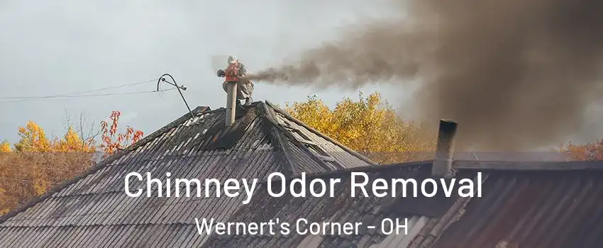 Chimney Odor Removal Wernert's Corner - OH