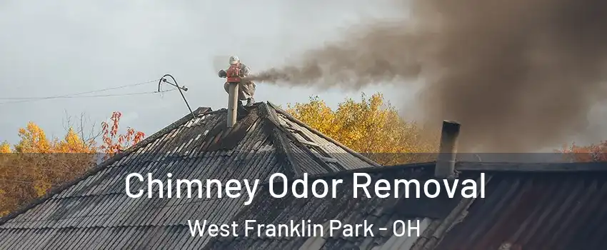Chimney Odor Removal West Franklin Park - OH