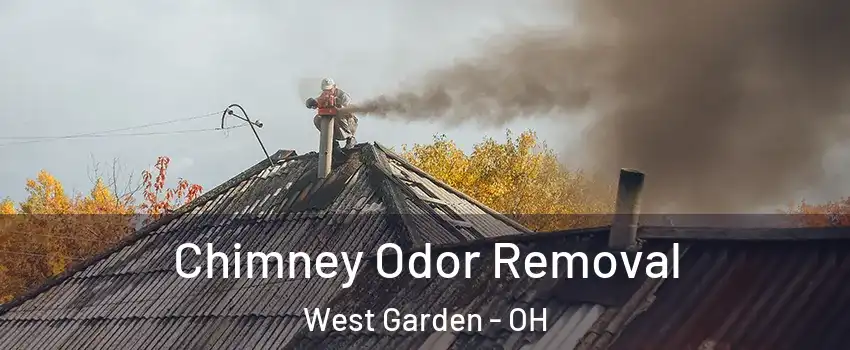 Chimney Odor Removal West Garden - OH