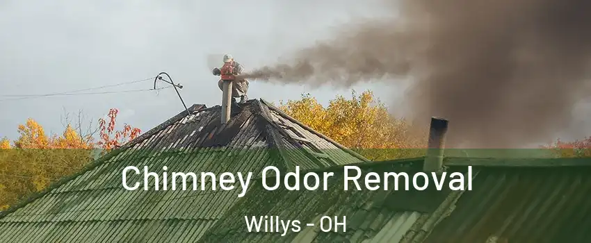 Chimney Odor Removal Willys - OH