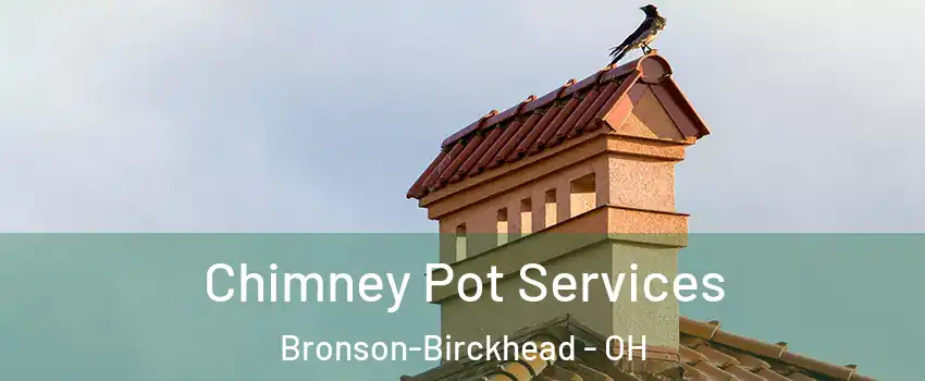 Chimney Pot Services Bronson-Birckhead - OH