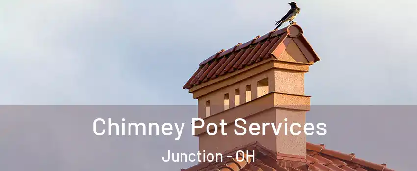 Chimney Pot Services Junction - OH