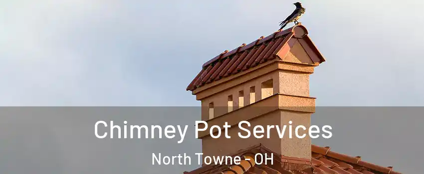 Chimney Pot Services North Towne - OH