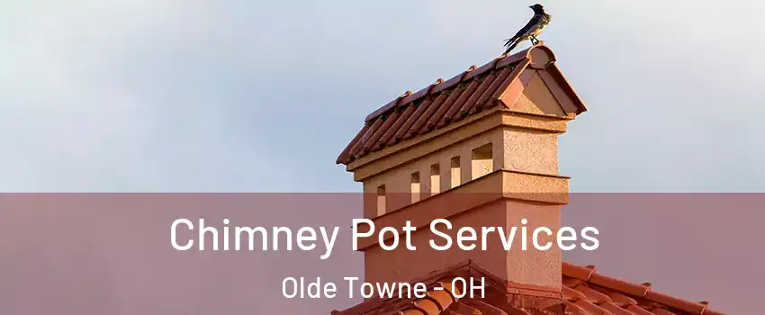Chimney Pot Services Olde Towne - OH