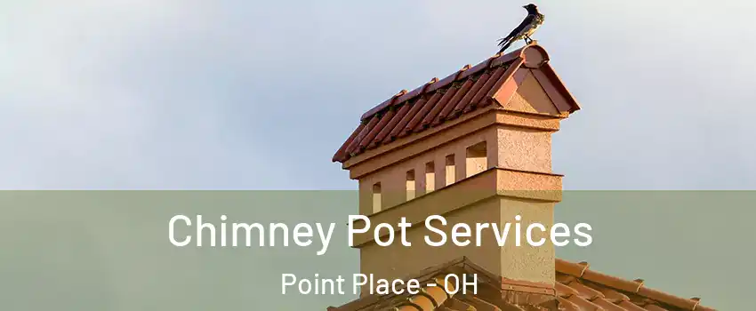 Chimney Pot Services Point Place - OH