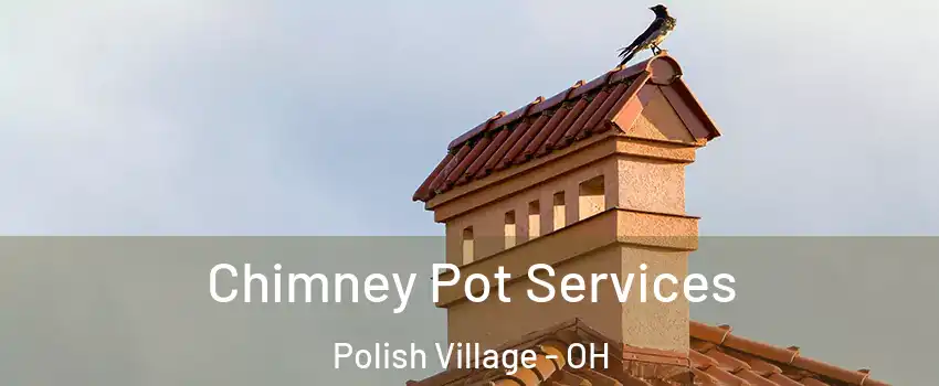 Chimney Pot Services Polish Village - OH