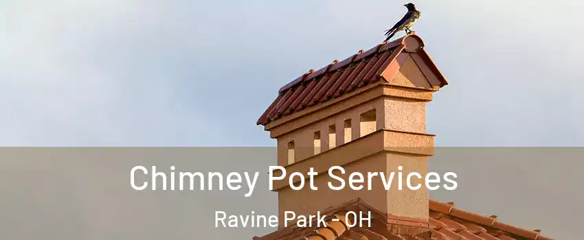 Chimney Pot Services Ravine Park - OH