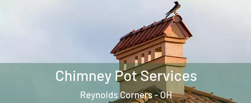 Chimney Pot Services Reynolds Corners - OH