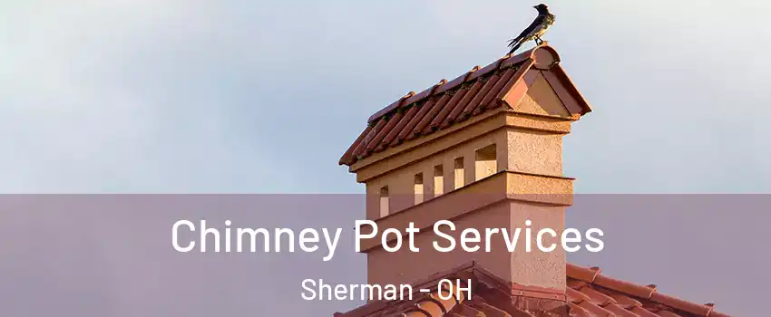Chimney Pot Services Sherman - OH