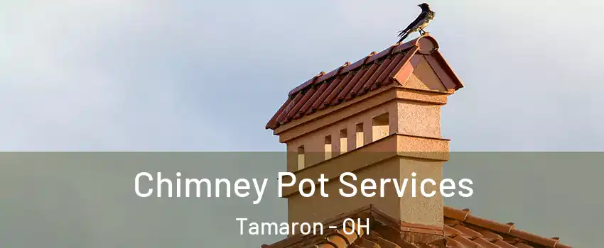 Chimney Pot Services Tamaron - OH