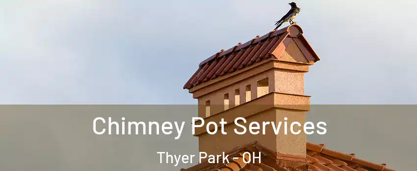 Chimney Pot Services Thyer Park - OH
