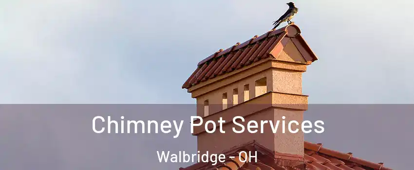 Chimney Pot Services Walbridge - OH