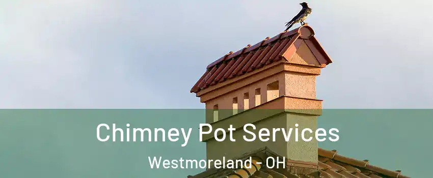 Chimney Pot Services Westmoreland - OH