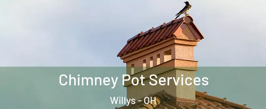 Chimney Pot Services Willys - OH
