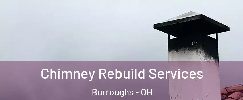 Chimney Rebuild Services Burroughs - OH