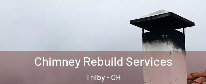 Chimney Rebuild Services Trilby - OH