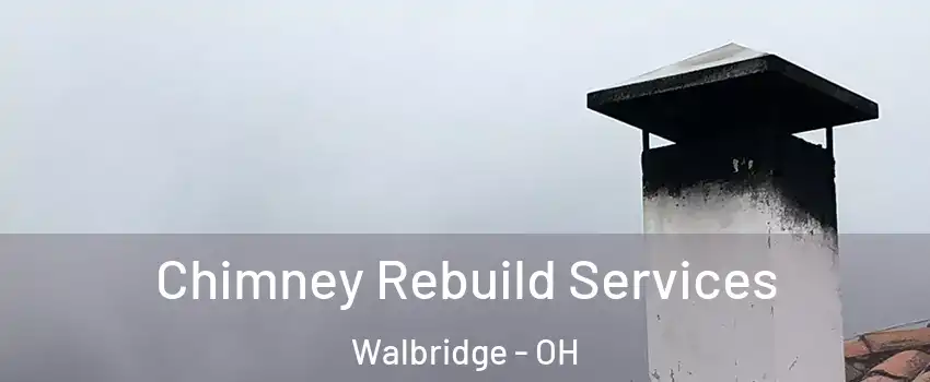 Chimney Rebuild Services Walbridge - OH