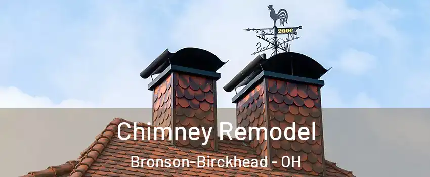 Chimney Remodel Bronson-Birckhead - OH