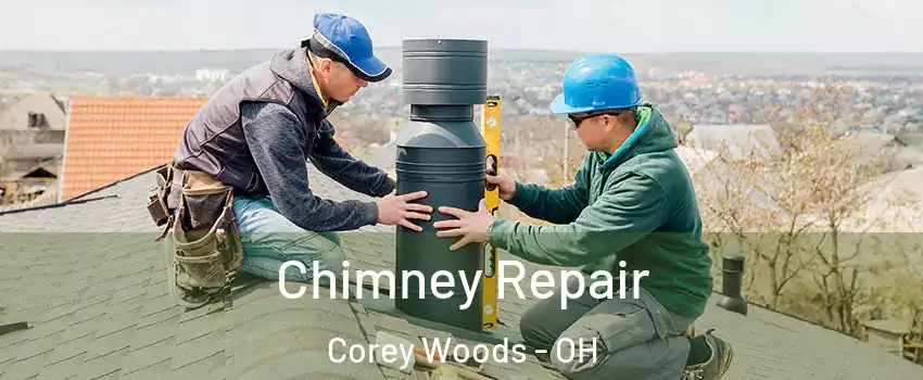 Chimney Repair Corey Woods - OH