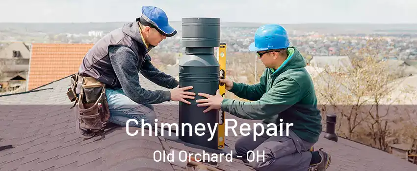 Chimney Repair Old Orchard - OH