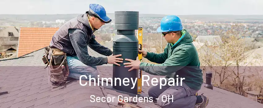 Chimney Repair Secor Gardens - OH