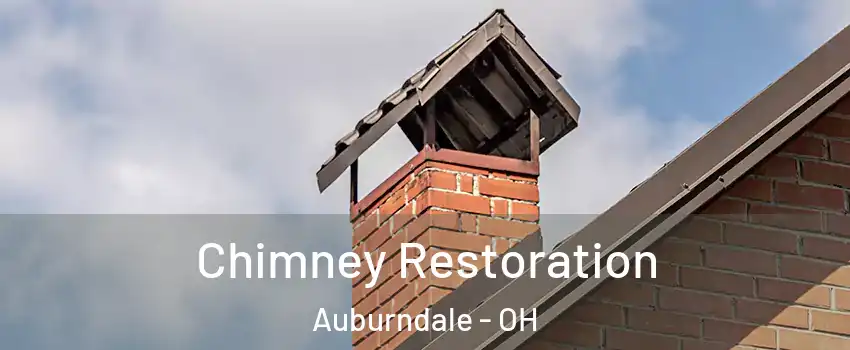 Chimney Restoration Auburndale - OH