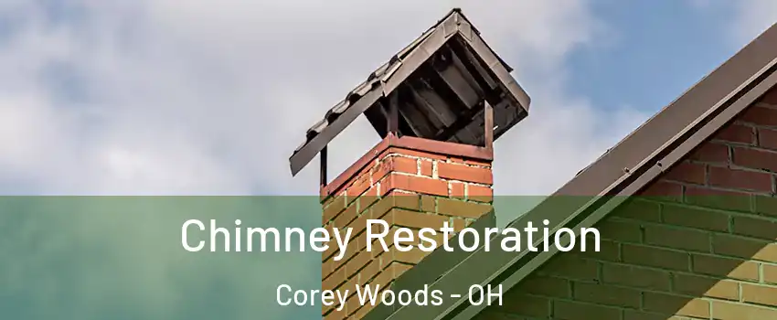 Chimney Restoration Corey Woods - OH
