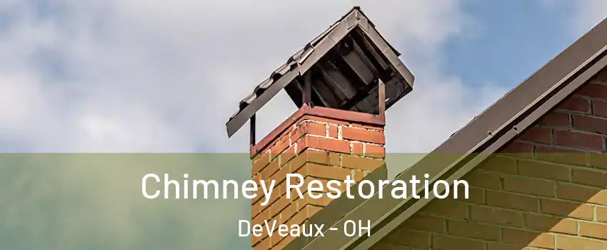 Chimney Restoration DeVeaux - OH