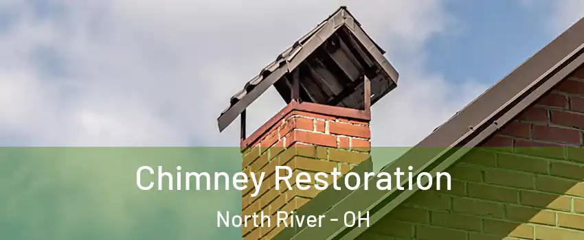 Chimney Restoration North River - OH