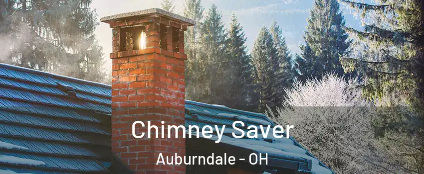 Chimney Saver Auburndale - OH