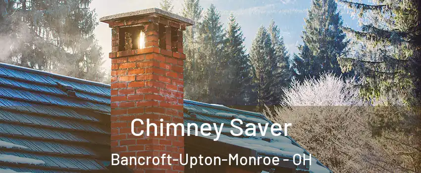 Chimney Saver Bancroft-Upton-Monroe - OH