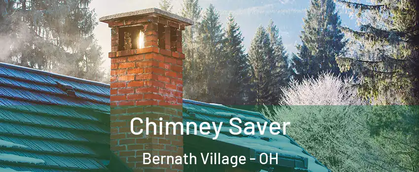 Chimney Saver Bernath Village - OH