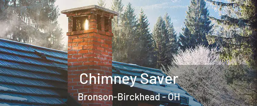 Chimney Saver Bronson-Birckhead - OH