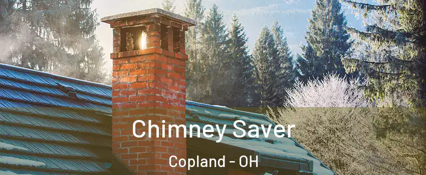 Chimney Saver Copland - OH