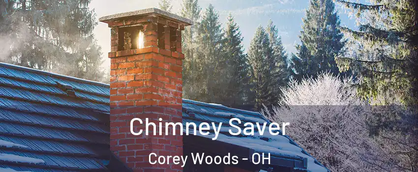 Chimney Saver Corey Woods - OH