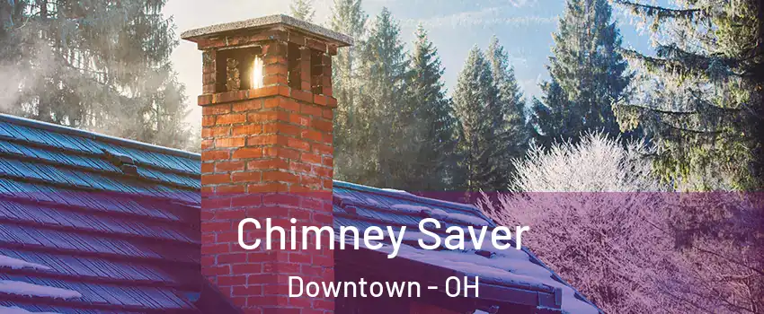 Chimney Saver Downtown - OH