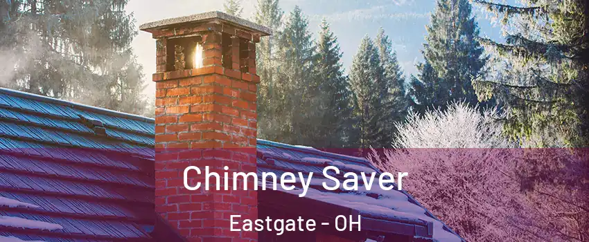Chimney Saver Eastgate - OH